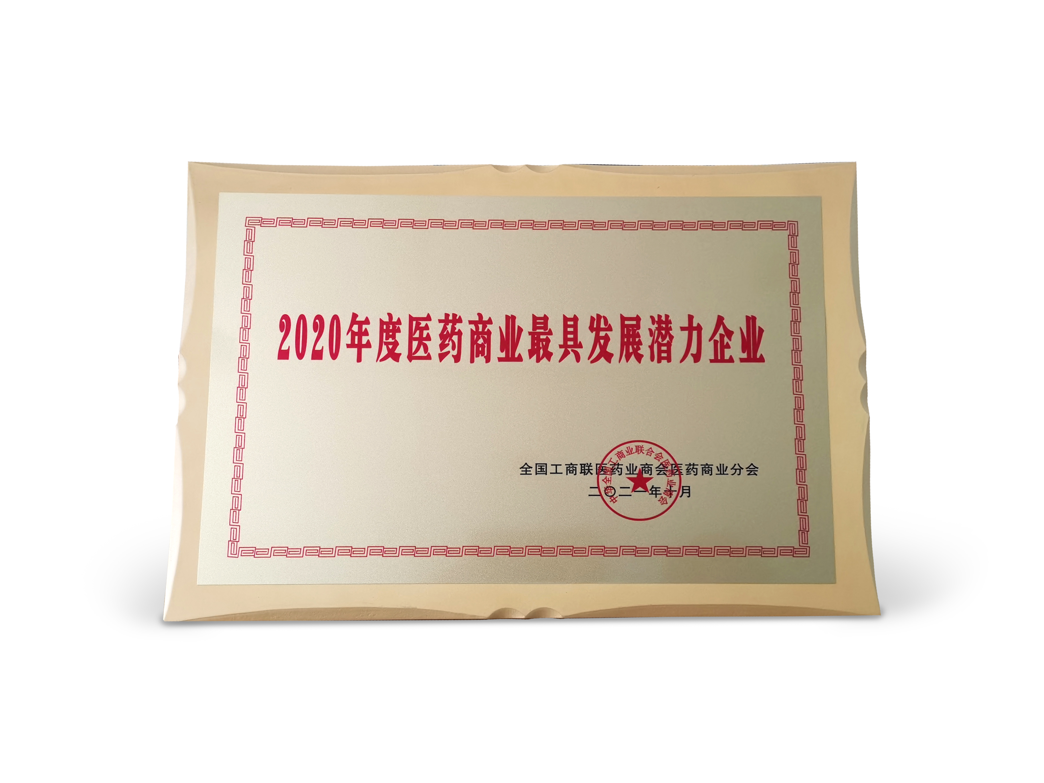 202110-2020年度医药商业发展潜力企业.jpg